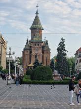Întâlnire de lucru la Timișoara