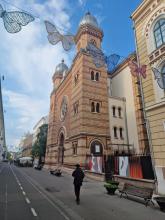 Întâlnire de lucru la Timișoara